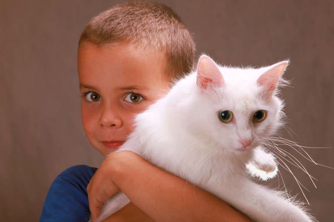 Dítě držící kočku.