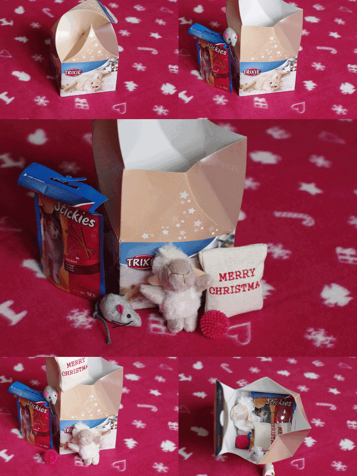 Trixie dárková krabice pro kočky