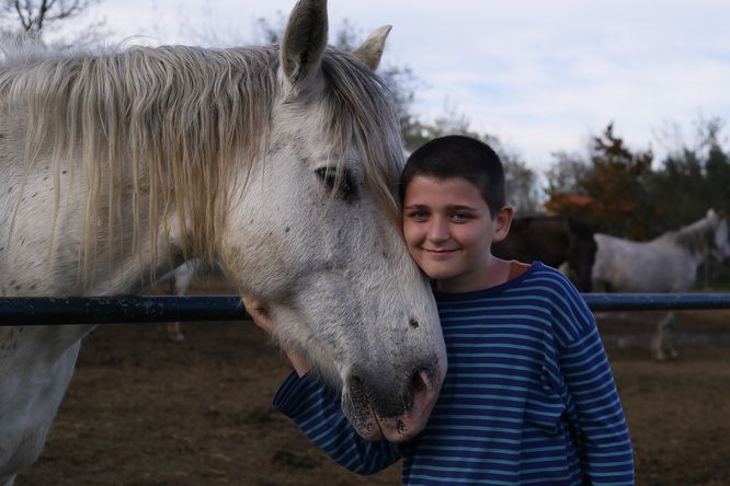 Kůň v ohradě s chlapcem.