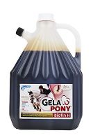Gelapony Biotin H  Biosol 3000ml