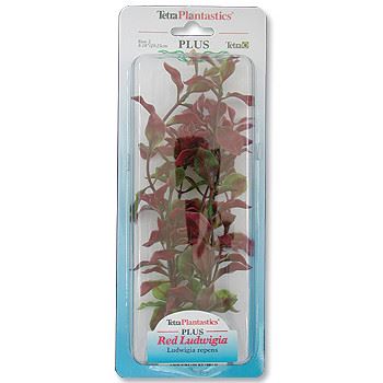 Rostlina TETRA Red Ludwigia 23 cm