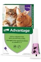 Advantage 80 1x0,8ml pro kočky a králíky nad 4kg