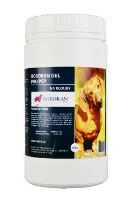 Roboran gel pro psy - doplňkové krmivo zajišťující ochranu pohybového aparátu v prášku 400 g