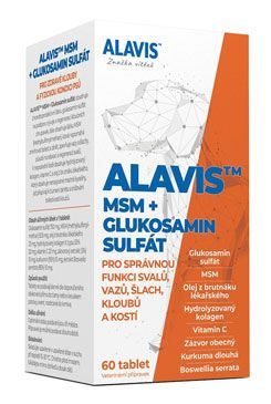 Alavis MSM + Glukosamin sulfát pro psy, 60 tablet