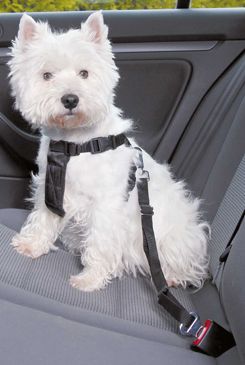 Trixie Postroj do auta pro psy černý - XS, 20-50 cm