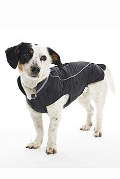Obleček Raincoat Ostružinová KRUUSE