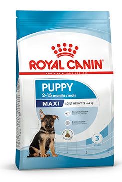 Royal Canin Maxi Junior