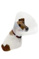Kruuse Buster Clic Collar Plastový ochranný límec pro psy, 35 cm