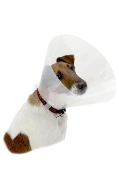 Kruuse Buster Clic Collar Plastový ochranný límec pro psy, 35 cm