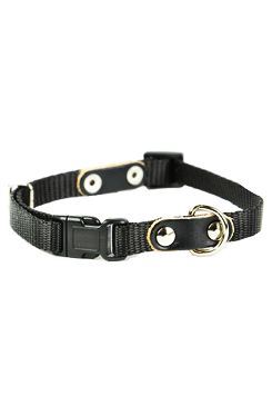 Obojek nylon jednobarevný 20-40cmx10mm Černý 1ks