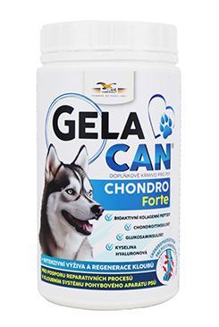 Gelacan Chondro Forte 150g