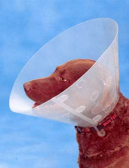Kruuse Buster Clic Collar Plastový ochranný límec pro psy, 30 cm