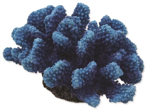Dekorace AQUA EXCELLENT Mořský korál modrý 14,5 x 10,5 x 7,4 cm