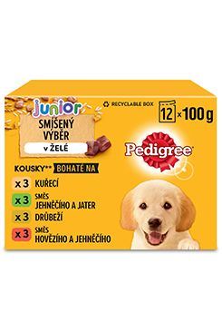 Pedigree kapsa Junior 12pack 1200g