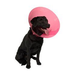 Kruuse Buster Fashion Collar Plastový ochranný límec pro psy růžový