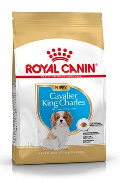 Royal Canin BREED Kavalír King Charles Junior 1,5 kg