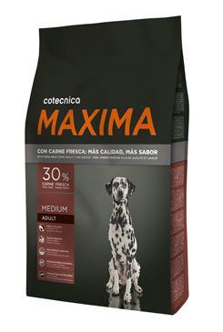 Maxima Dog  Adult Medium