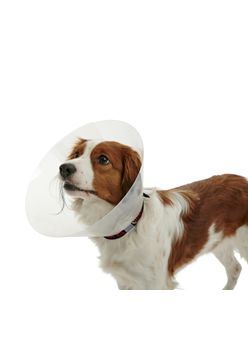 Kruuse Buster Classic Collar Plastový ochranný límec pro psy