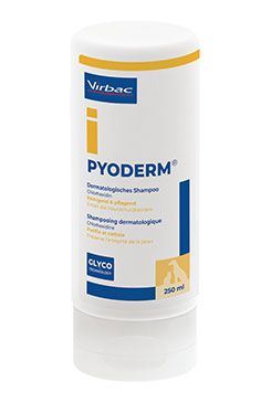 Pyoderm šampon 250ml