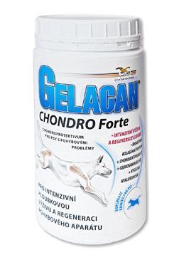 Gelacan Chondro Forte 150g