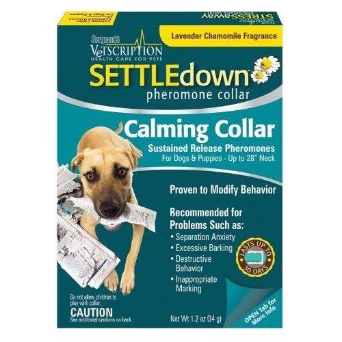 Settledown obojek feromonový pro psy a štěňata