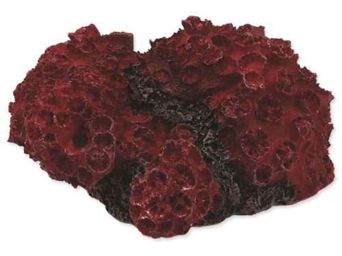 Dekorace AQUA EXCELLENT Mořský korál červený 11 x 9,6 x 5,3 cm