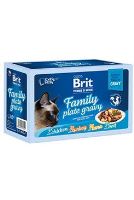 Brit Premium Cat D Fillets in Gravy Family Plate 1020g