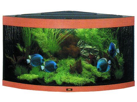 Juwel Trigon 350 akvárium set rohový buk 123x87x65 cm, objem 350 l