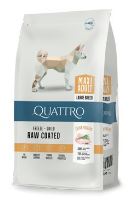 QUATTRO Dog Dry Premium Maxi Adult 12kg