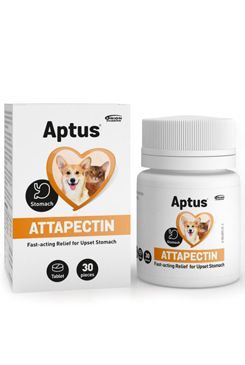 Aptus Attapectin - minerální doplněk pro zamezení trávicích potížích psů a koček, 30 tablet
