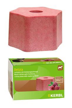 Liz pro koně DELIZIA náplň banán 650g