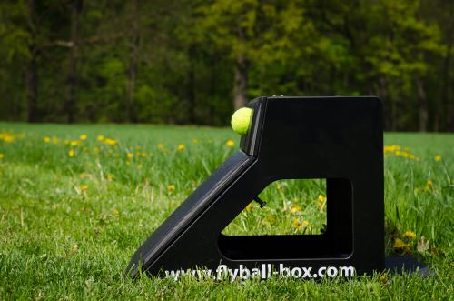 Flyball box
