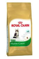 Royal Canin Breed Feline Kitten Maine Coon