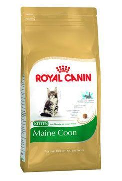Royal Canin Breed Feline Kitten Maine Coon