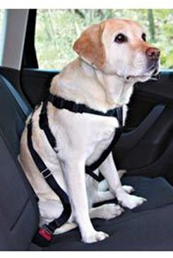Trixie Postroj do auta pro psy černý - L, 70-90 cm