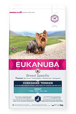 Eukanuba Yorkshire Terrier