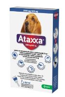 Ataxxa pro psy XL 1x2000mg/400mg fialová sol 1 x 4.0 ml