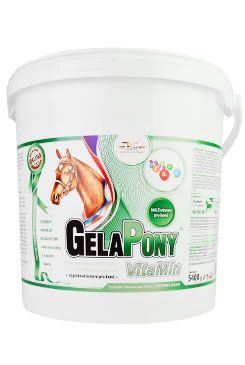 Gelapony VitaMin 900g