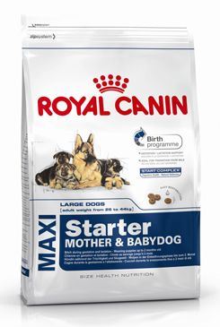 Royal canin Kom. Maxi Starter