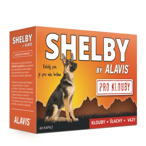 ALAVIS Shelby PRO KLOUBY 60 kapslí