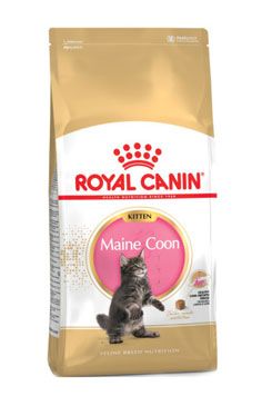 Royal Canin Breed Feline Kitten Maine Coon - pro koťata mainské kočky 400 g