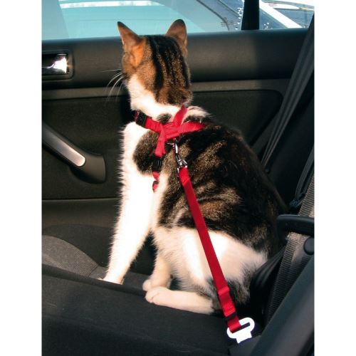 Trixie Bezpečnostní postroj do auta pro kočku 20 - 50 cm