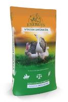 Krmivo pro kuřata BROILER MINI FORTE drcené 25kg
