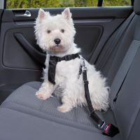 Trixie Postroj do auta pro psy černý - velikost XL, 80-110 cm